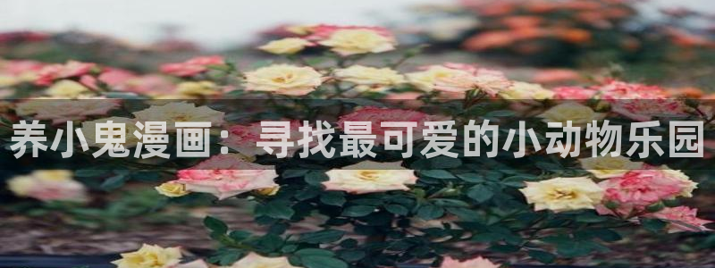 拷贝漫画用什么加速器：养小鬼漫画：寻找最可爱的小动物乐园