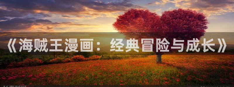 拷贝漫画3：《海贼王漫画：经典冒险与成长》