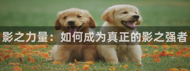 拷贝漫画电脑版：影之力量：如何成为真正的影之强者